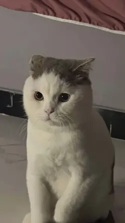 em mê ngủ