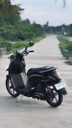 Sinematik plat kt 