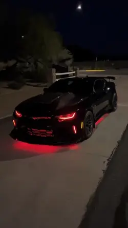 BLACK LOVERS 