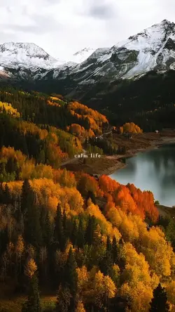 calm life