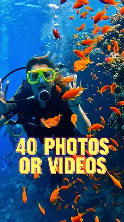 40 Video Slides