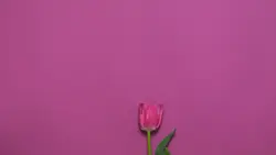 HAPPY DAY
