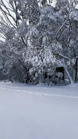 Snow Snow Snow