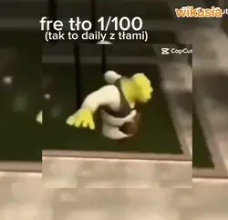 nie dawać obs
