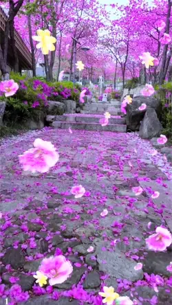 Petal rain