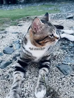 fotolive X kata kata