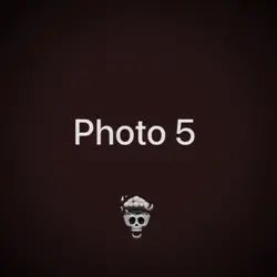 Scull Face Edit 1:1