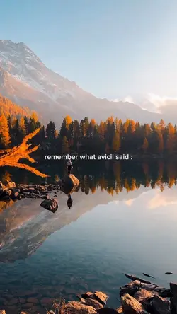 avicii said