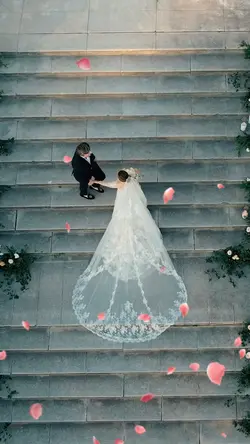 wedding dream
