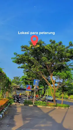 Lokasi para petarug
