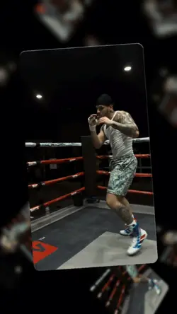 My Fight Training