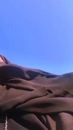What do you dream