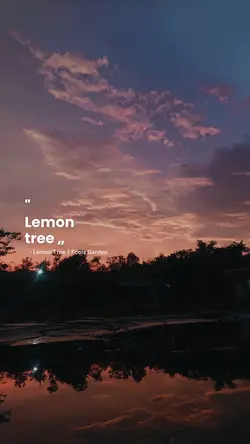 lemon tree
