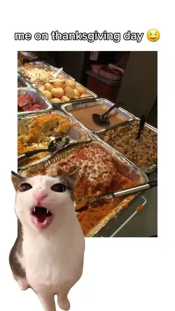 thanksgiving meme