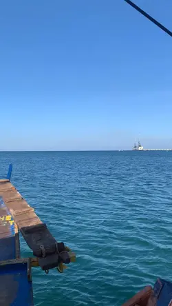 Vitamin Sea 🌊