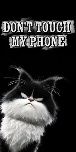 Don’t touch my phone