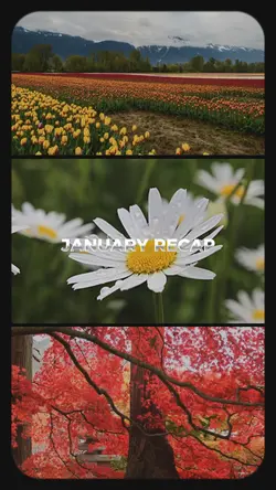 JANUARY RECAP