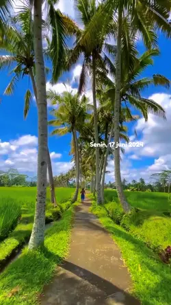 buat besok nih