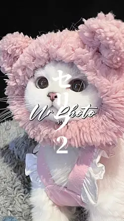 7枚でできます！
