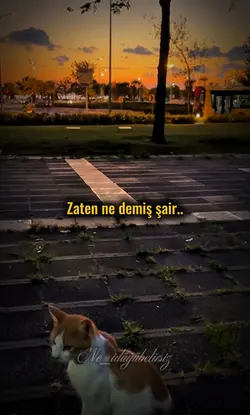 Hayat, hatıradır…