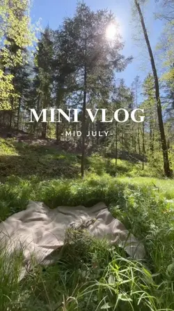 Mid year vlog 