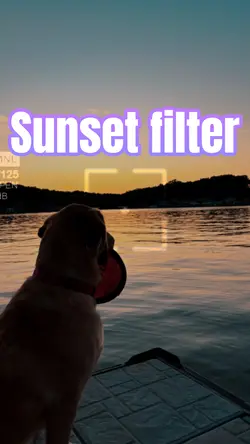Sunset Filter