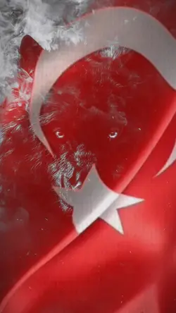 Kurt ürkmez 🐺