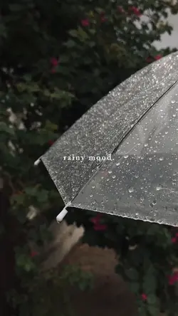 rainy mood 