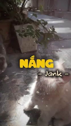 Nắng soi màu mắt anh