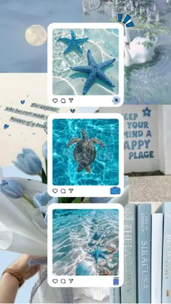 blue frames