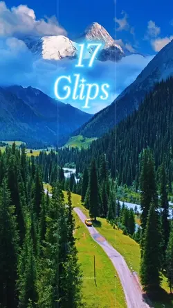 17 clips 