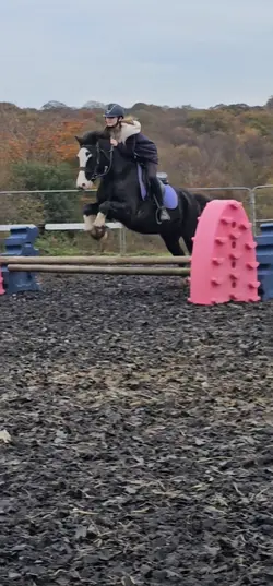 Pony swap!! <33 