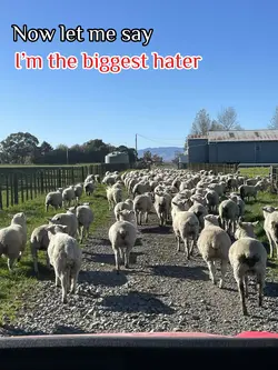 Hate