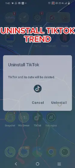 TIKTOK DELETE TREND 