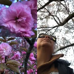 Flores