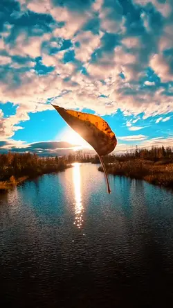 Slowmotion