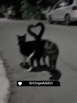 Hehehe 😈
