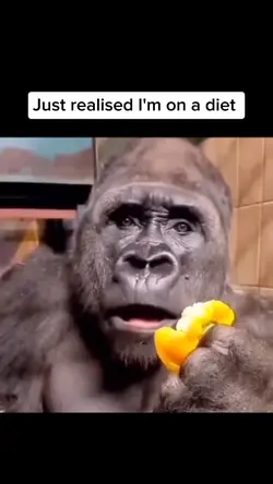 Funny meme