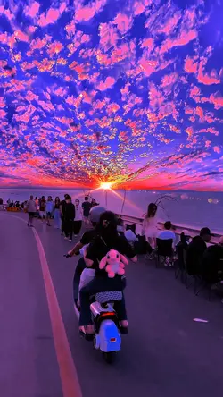 Slowmo Filter 🔥