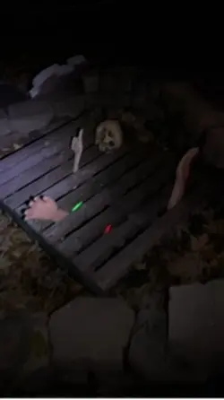 Spooky night 2024