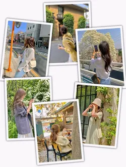 6Pic Clip Transition