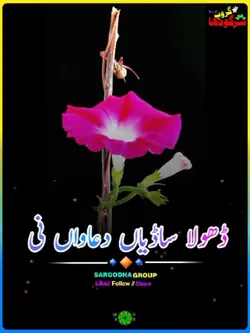بیمار دے حال 