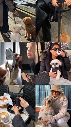 Puppy moment