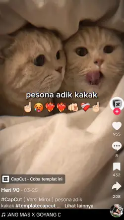 pesona adik kakak
