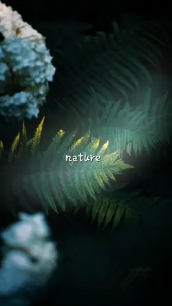 Nature