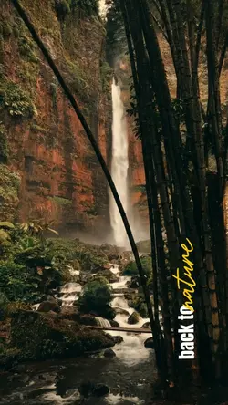 Back to nature