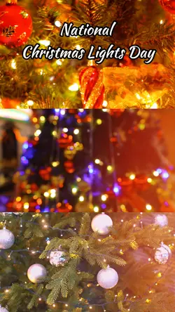 Christmas Lights Day