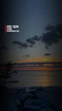 Hiç Işık Yok