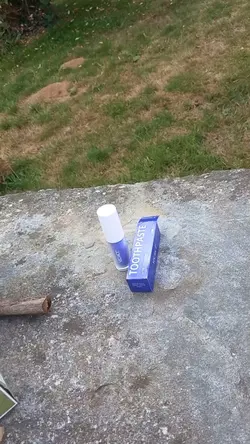 Dentifrice au Nila