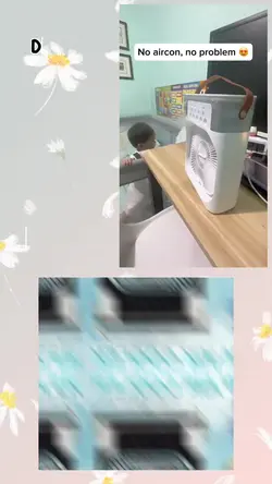 Affordable fan